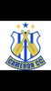 Cameron Cricket Club Logo