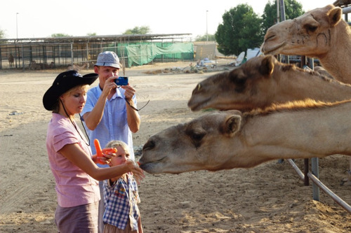 Поездка на верблюжью ферму (идеально подходит для семей с детьми).
