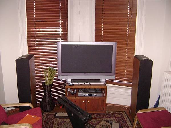 Panasonic 42inch plasma and Paradigm Studio 100 v4