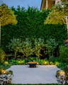 Layered landscape lighting creates depth and contrast throughout the garden, softly illuminating feature planting and outdoor zones by Havit Lighting.