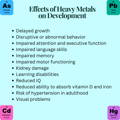 Effects of Heavy Metals on Infant Development