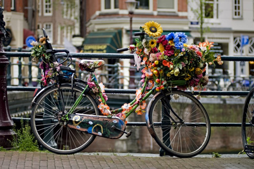 Велопрогулка по парку Вондела в Амстердаме