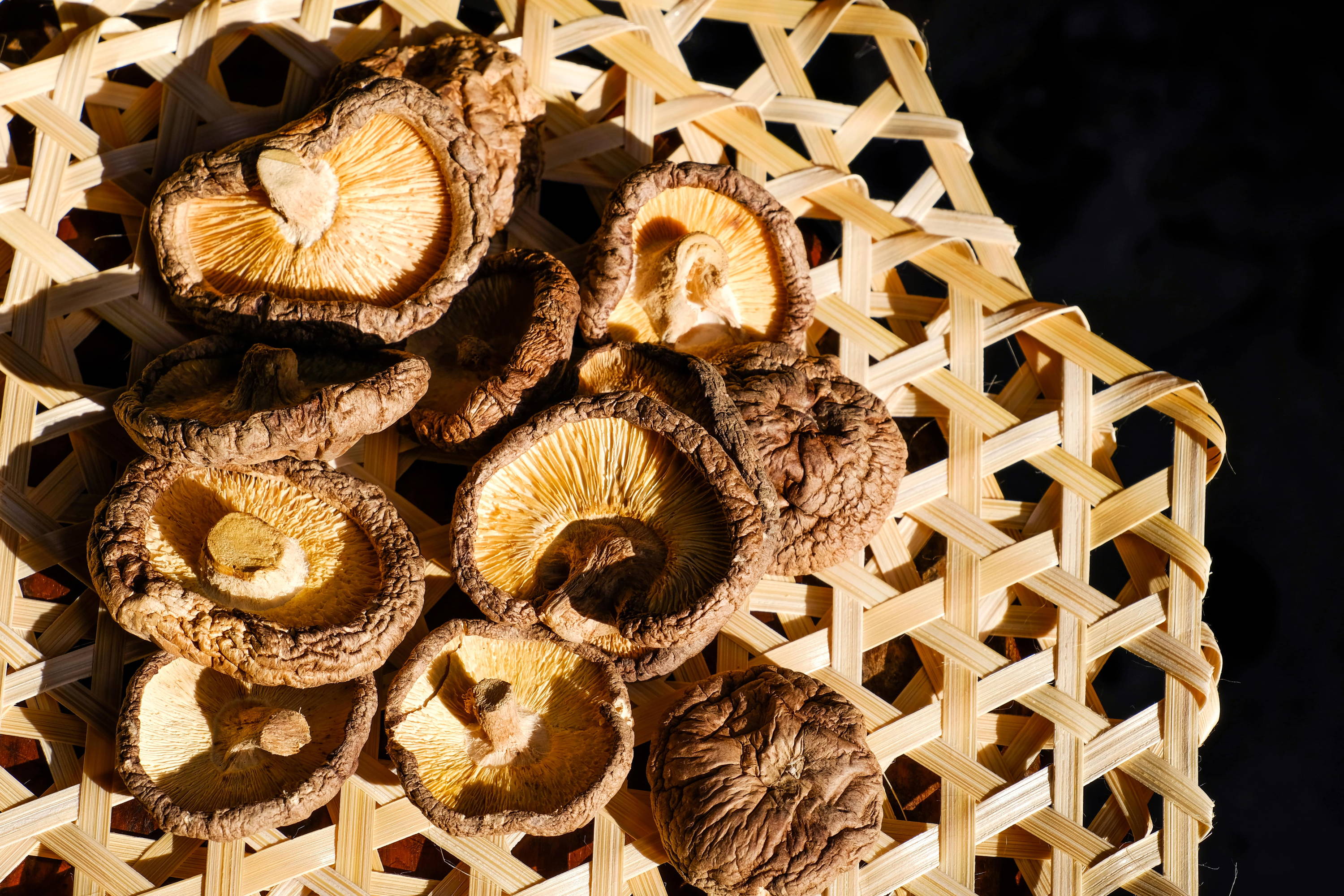 dried mushrooms of different sizes on a wooden tray