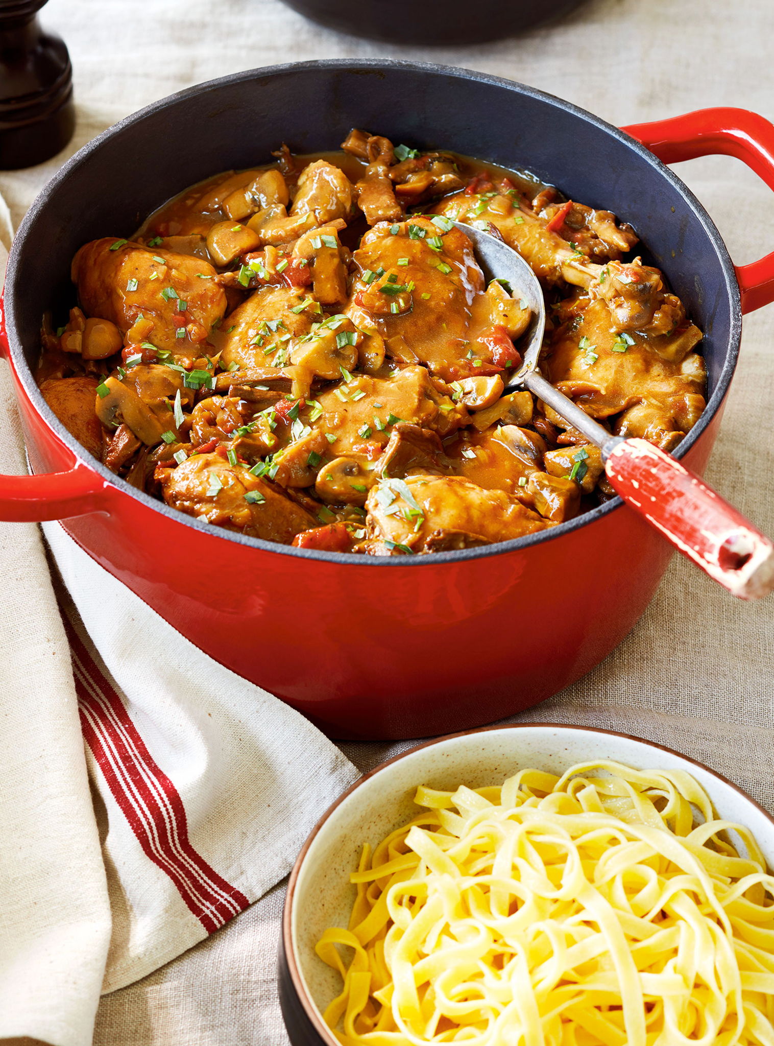 Hunter’s Chicken Stew (The Best) | RICARDO