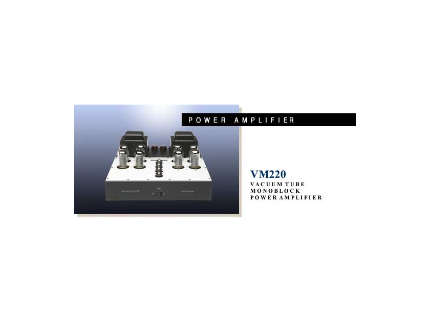 Audio Research VM220 Monoblock Amplifiers