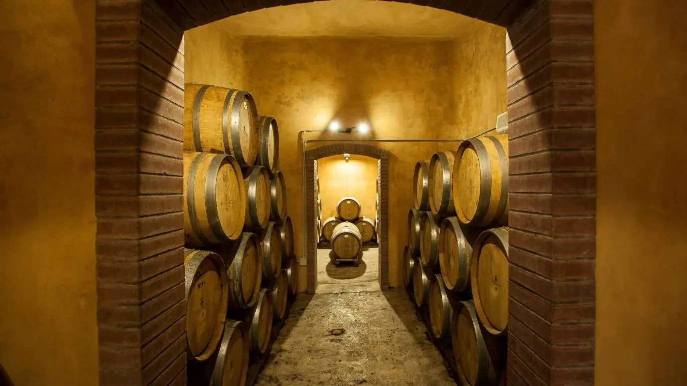 Sicilian Cellar Tour