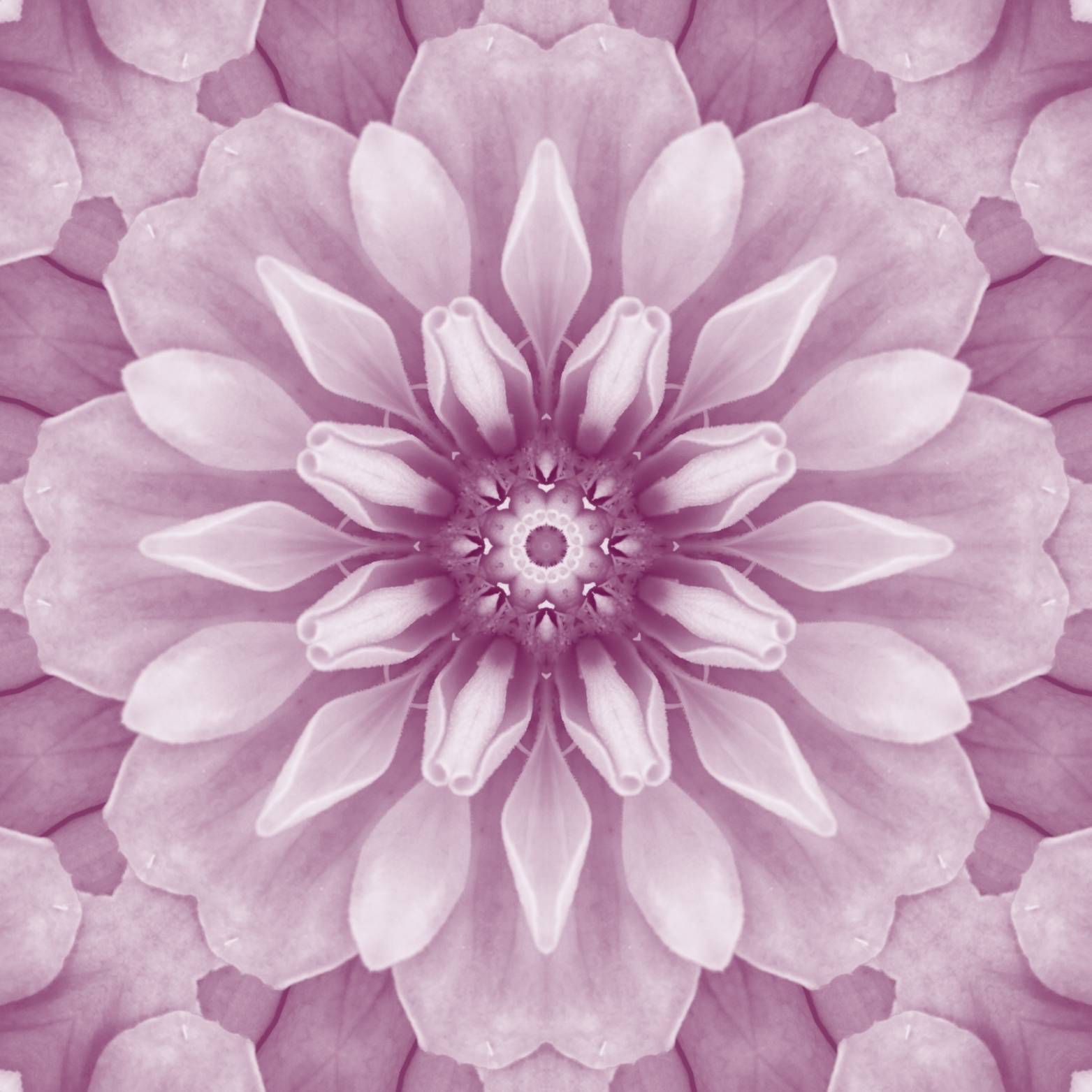 Praticienne en lithothérapie effectuant une séance énergétique avec des pierres naturelles – Hokee Minéraux