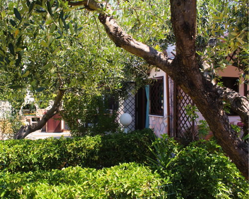 Corsi di cucina Civitavecchia: Sapori tra gli ulivi: corso di cucina in villa