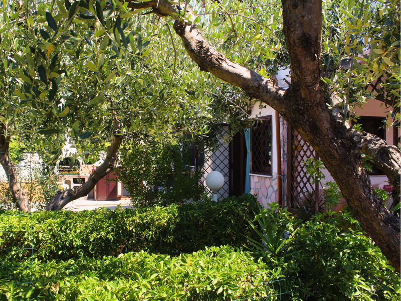 Corsi di cucina Civitavecchia: Sapori tra gli ulivi: corso di cucina in villa