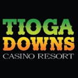 Tioga Downs logo on InHerSight