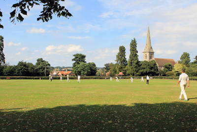 M Cricket Club Cricket Club Logo