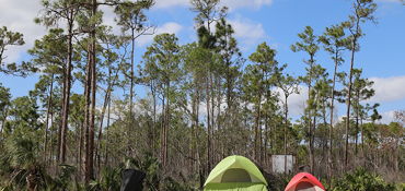 Motorcycle to Everglade National park (2 days) near Miami Beach, FL