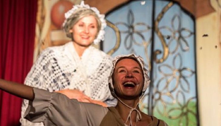 varia vineta frau holle