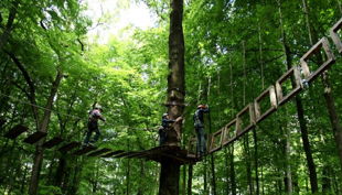 kletterwald freischütz wackel brücke