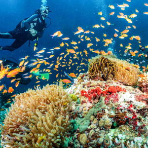 Scuba Diving On Our Honeymoon