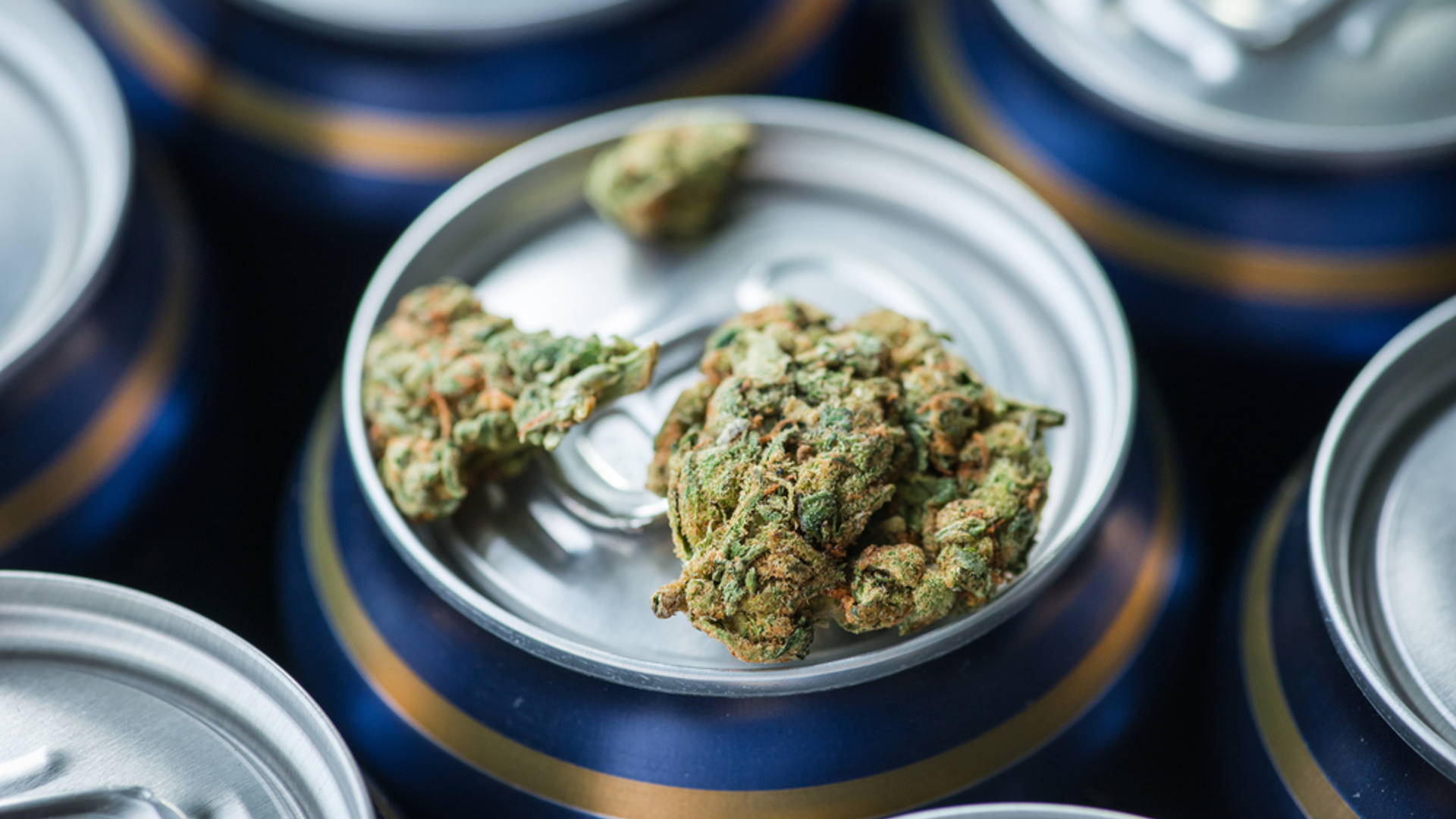 Featured image for Suds with Buds? Marijuana-infused Beer on the Rise