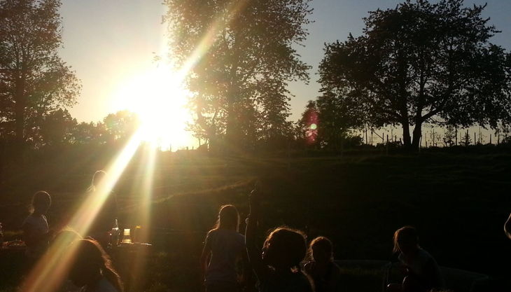 bauernhof gut halfeshof kühe auf weide vorm hof