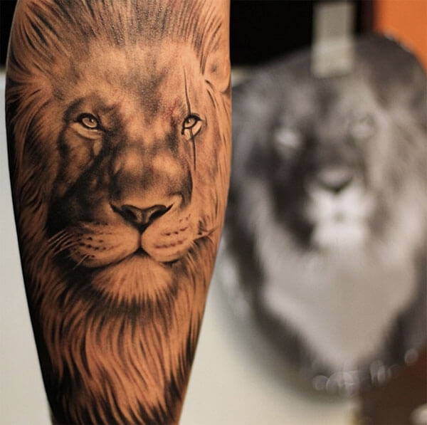 Tatouage Lion Mollet