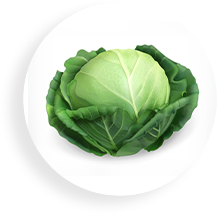 a green leaf on a white plate