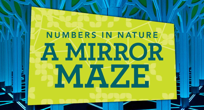 A Mirror Maze: Numbers in Nature