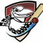 Diggers Rest Cricket Club logo
