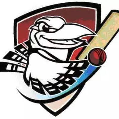 Diggers Rest Cricket Club Logo