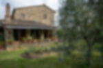 Cooking classes Castellina in Chianti: Cooking course in a farmhouse among the hills of Chianti