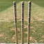 Whitley Bay Cricket Club logo