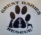 Great Babies Rescue, Inc. logo