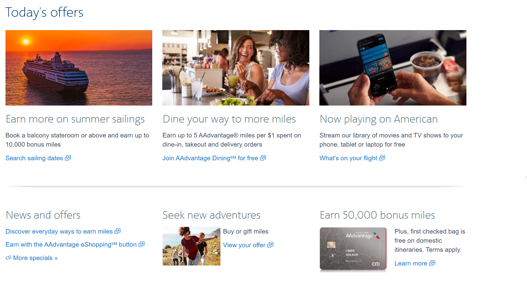 American Airlines product / service