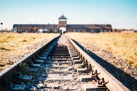 From Krakow: Auschwitz-Birkenau Tour with a Licensed Guide