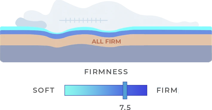 Classic Firmness Haven Sleep Co Chart