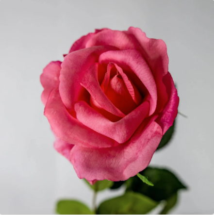 Pink Open Bloom Real Touch Rose - Realistic Artificial Flowers - Image 2