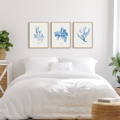 set of three watercolour paintings above bed in coastal home. set of three art prints above bed