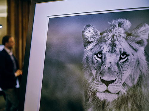 E&V Kitzbühel invite guests to exclusive David Yarrow vernissage