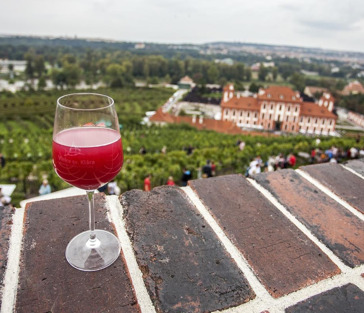 In vino veritas! Экскурсия по Праге с бокалом вина.