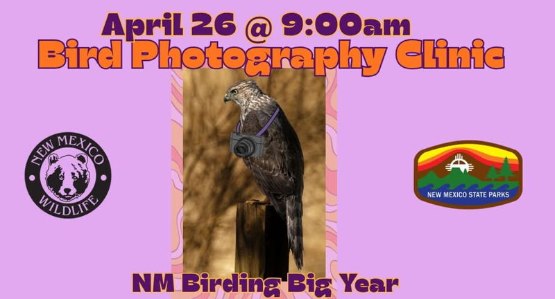 Bird Photography Clinic