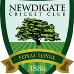 Newdigate Logo
