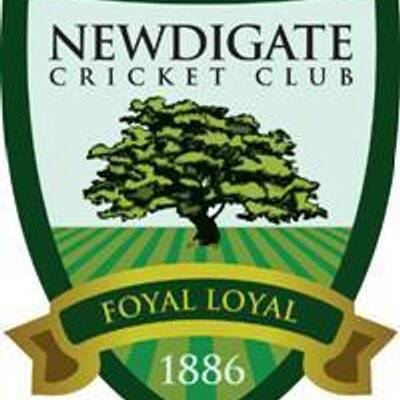 Newdigate Cricket Club Logo