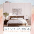 Charleston Amish 30% Off Mattresses