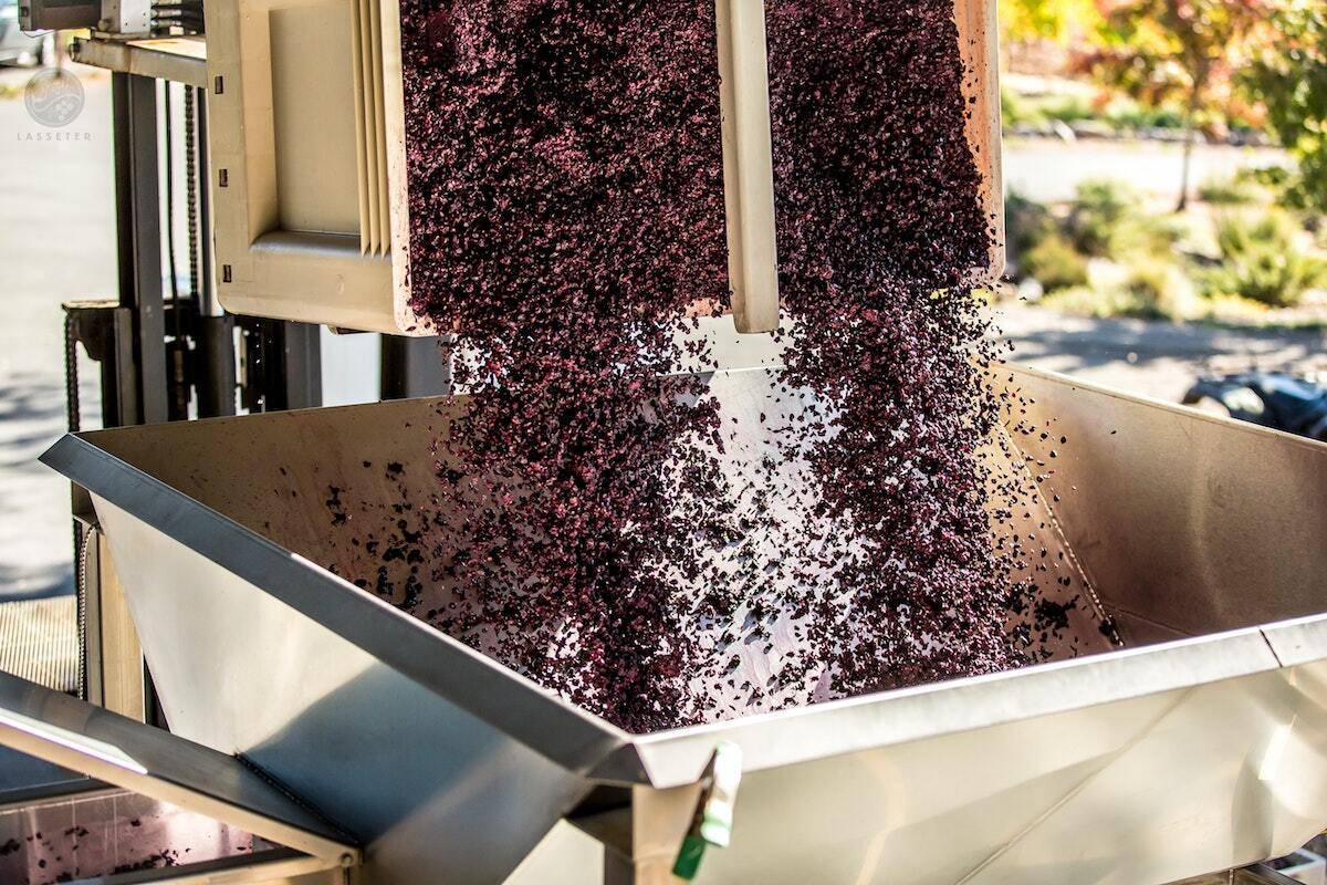 Pressed grapes on motion into a storage unit effecting the wine flavours. 