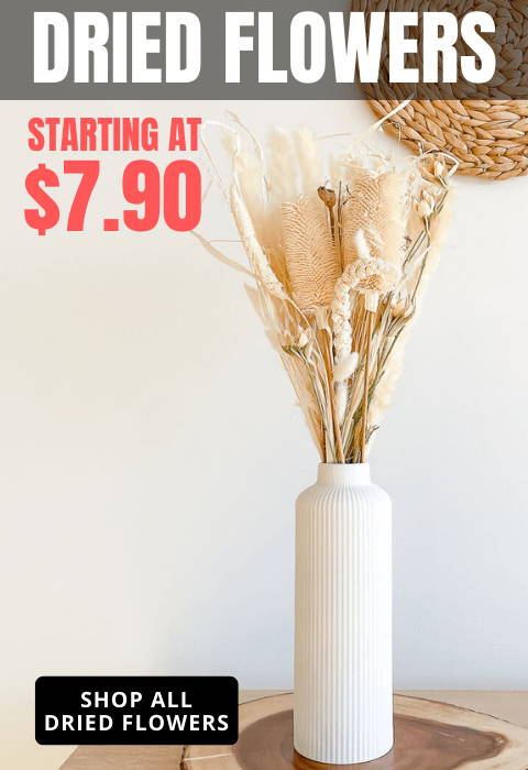 Hycroft Home Decor - Dried Flowers