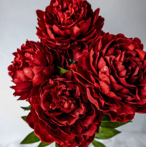 Burgundy Peony Soft Touch Bloom - Realistic Artificial Flowers - Image 3