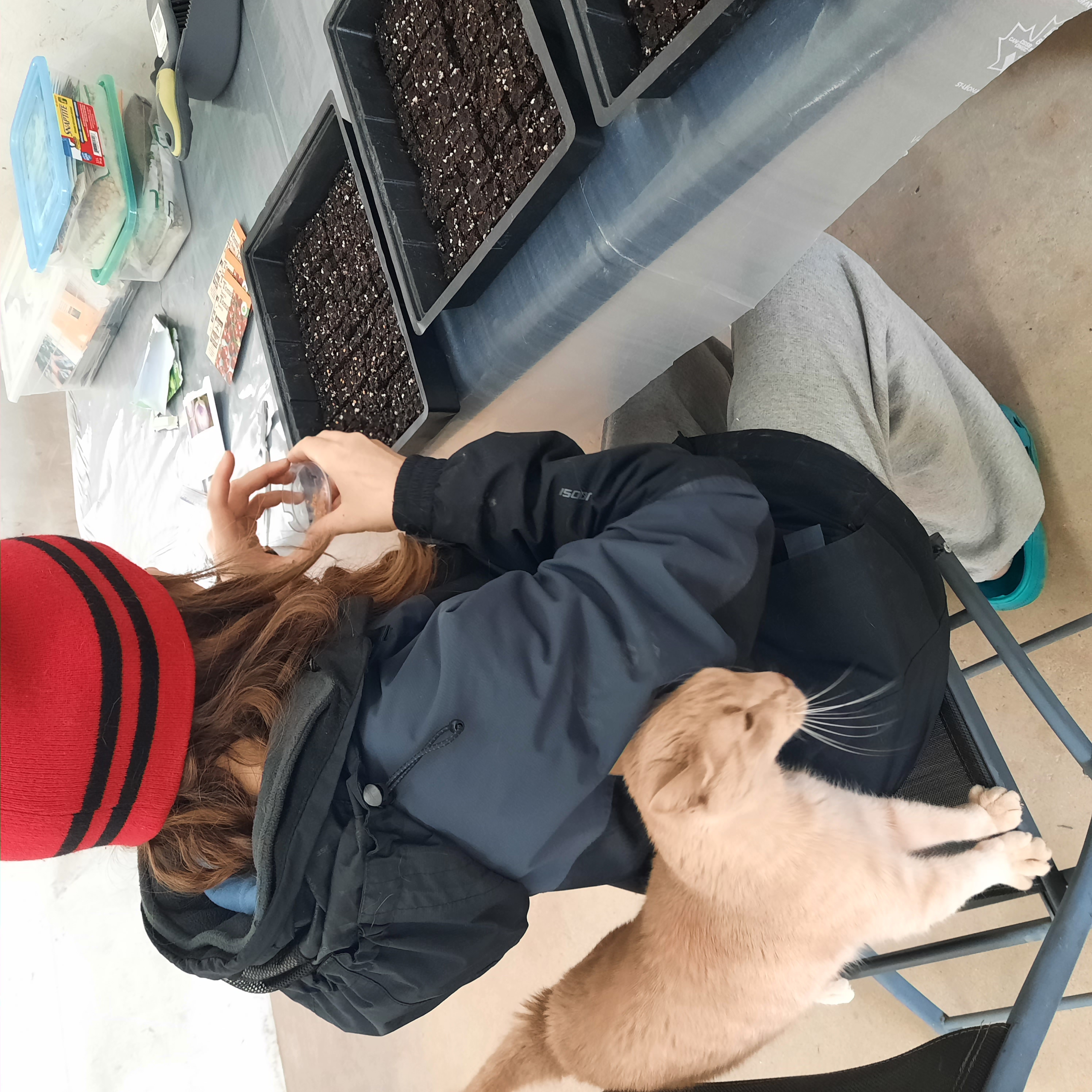 The author, Erin, seated at a table sowing seeds with an orange cat behind her back.