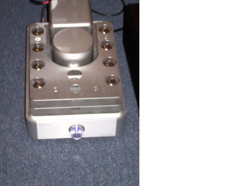 Raysonic M-100 Tube Monoblock Power Amplifier