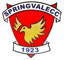 Springvale Cricket Club logo