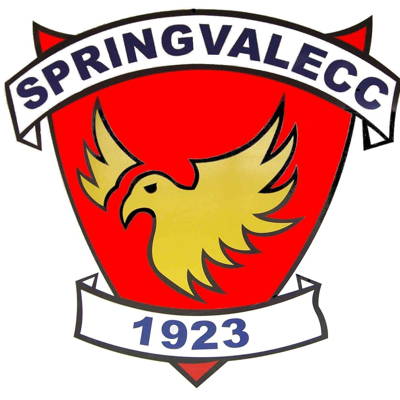 Springvale Cricket Club Logo