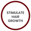NANOSKIN SG Hair Tonic stimulate hair growth
