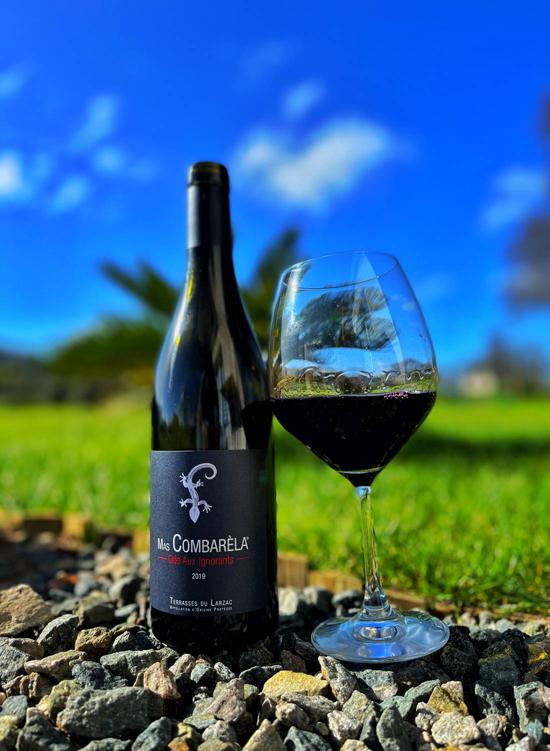 France, vin nature, rawwine, organic wine, vin bio, vin sans intrants, vin sans souffre, vin sans sulfites ajoutés, vin rouge, vin blanc, rouge, blanc, vin propre, vigneron, domaine bio, biodynamie, vigneron nature, vin biodynamique, raizin brut, Quimper, Finistère,distributeur, agent, vrp, gurwan, gurwan le gouil, Raizin Brut, vignerons  