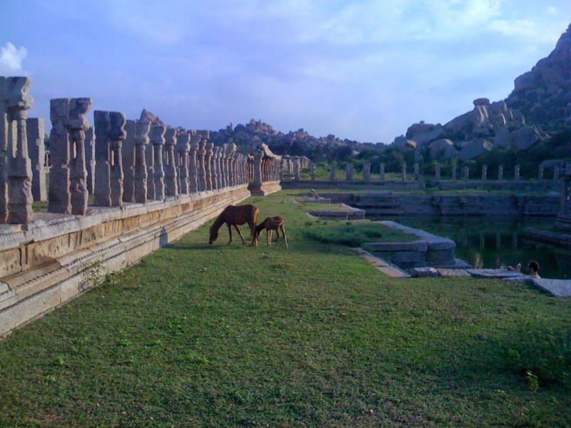 Horse and Foal Ruins Hampi